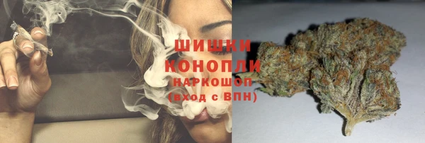 стафф Медногорск