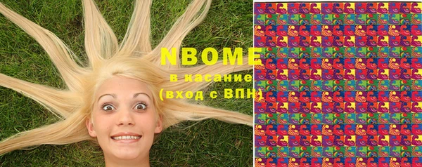 стафф Медногорск