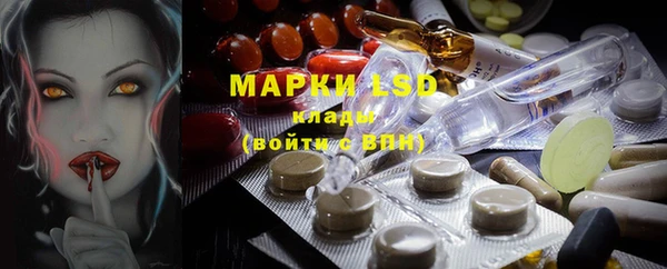 стафф Медногорск